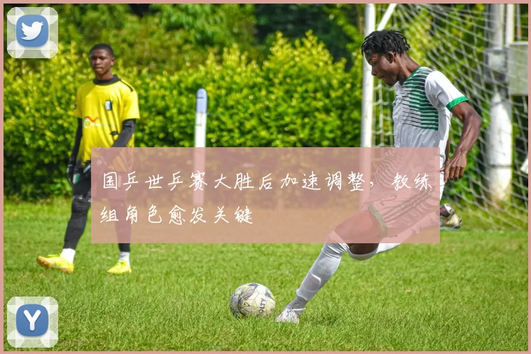 国乒世乒赛大胜后加速调整，教练组角色愈发关键