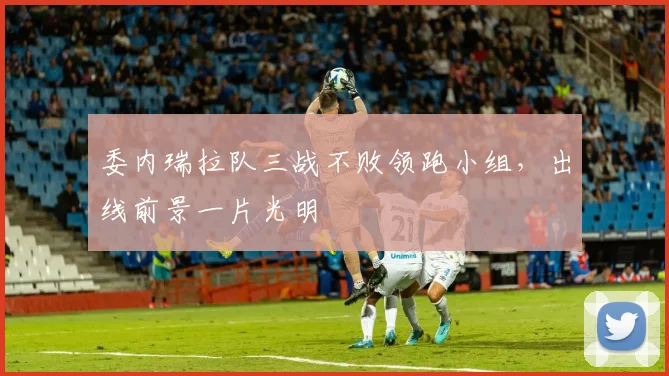 委内瑞拉队三战不败领跑小组，出线前景一片光明