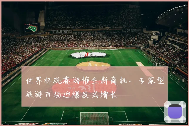 世界杯观赛游催生新商机，专家型旅游市场迎爆发式增长