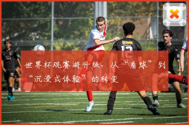 世界杯观赛游升级，从“看球”到“沉浸式体验”的转变